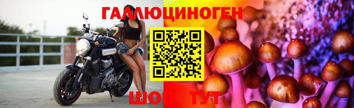 Псилоцибиновые грибы Magic Shrooms  Псилоцибиновые грибы Cubensis  Вход с VPN  Псков 